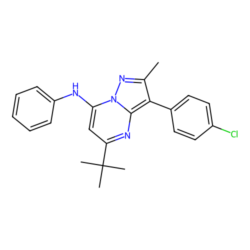 5-tert-butyl-3-(4-chlorophenyl)-2-methyl-N-phenylpyrazolo[1,5-a]pyrimidin-7-amine structure