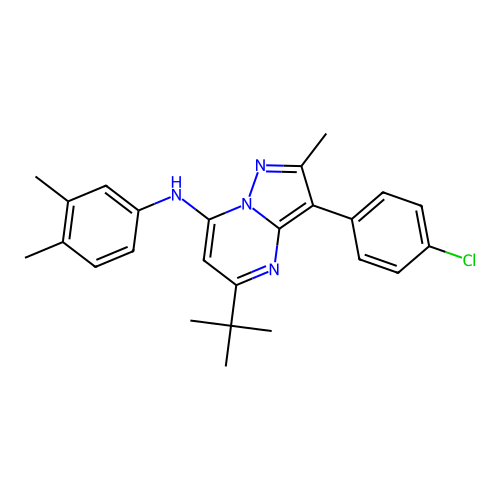 5-tert-butyl-3-(4-chlorophenyl)-N-(3,4-dimethylphenyl)-2-methylpyrazolo[1,5-a]pyrimidin-7-amine structure