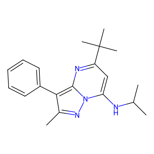 5-(tert-butyl)-N-isopropyl-2-methyl-3-phenylpyrazolo[1,5-a]pyrimidin-7-amine structure