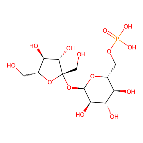 Sucrose 6-phosphate structure