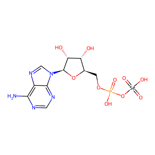 Adenylylselenate structure