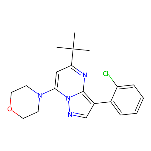 4-[5-Tert-butyl-3-(2-chlorophenyl)pyrazolo[1,5-a]pyrimidin-7-yl]morpholine structure