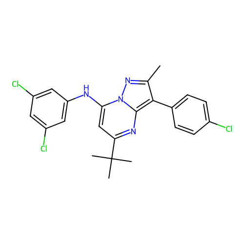 5-tert-butyl-3-(4-chlorophenyl)-N-(3,5-dichlorophenyl)-2-methylpyrazolo[1,5-a]pyrimidin-7-amine structure