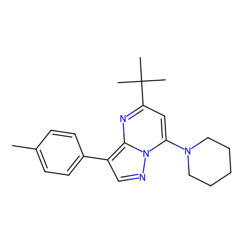5-Tert-butyl-3-(4-methylphenyl)-7-piperidin-1-ylpyrazolo[1,5-a]pyrimidine structure