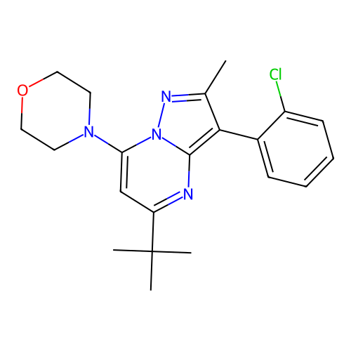 4-(5-(tert-butyl)-3-(2-chlorophenyl)-2-methylpyrazolo[1,5-a]pyrimidin-7-yl)morpholine structure