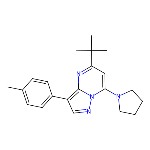 5-(Tert-butyl)-7-(pyrrolidin-1-yl)-3-(p-tolyl)pyrazolo[1,5-a]pyrimidine structure