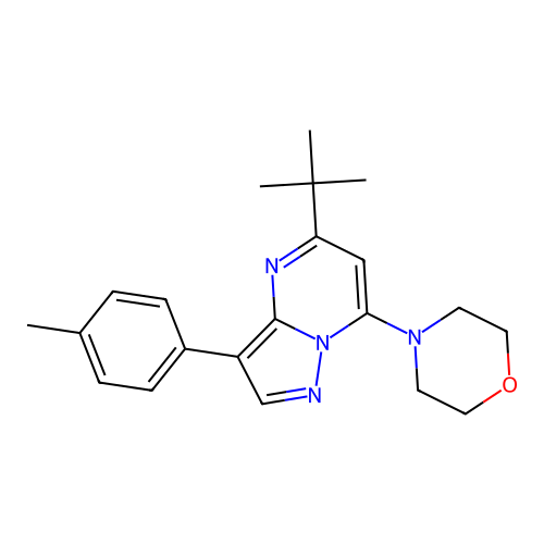 4-(5-(Tert-butyl)-3-(p-tolyl)pyrazolo[1,5-a]pyrimidin-7-yl)morpholine structure
