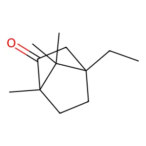 4-Ethylcamphor structure