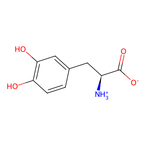 L-多巴 structure