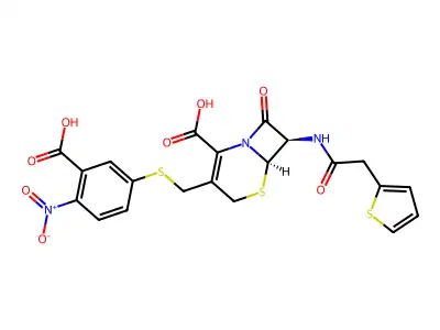 Β-内酰胺酶 structure