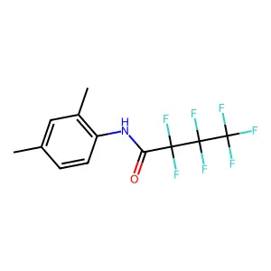 N-(2,4-Dimethylphenyl)-2,2,3,3,4,4,4-heptafluorobutanamide structure