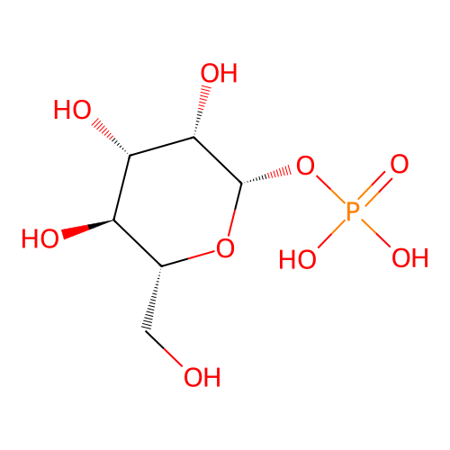 cori ester structure