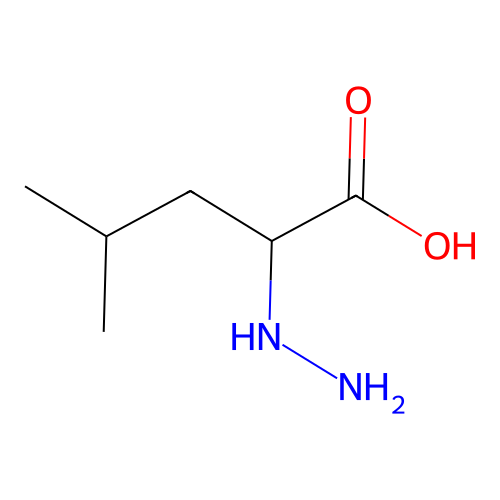 Amino leucine structure