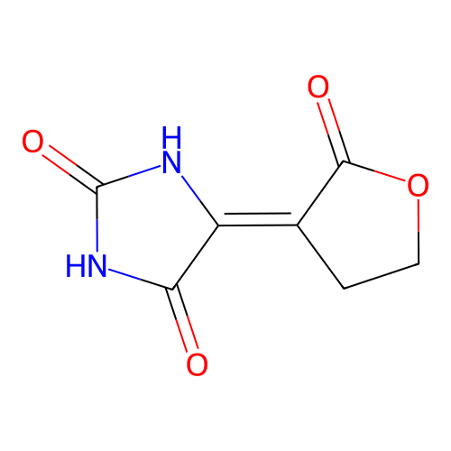5-(2-oxooxolan-3-ylidene)imidazolidine-2,4-dione structure