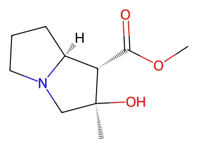 Isotussilagine structure
