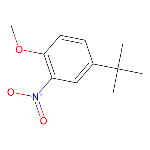 4-Tert-butyl-1-methoxy-2-nitrobenzene structure