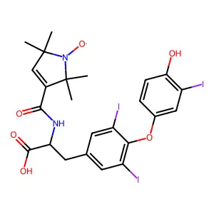 SL-T3 structure