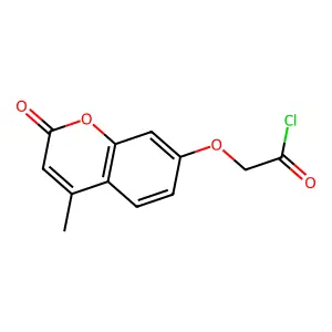 Monoethyl terephthalate structure