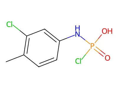 Centralvet structure