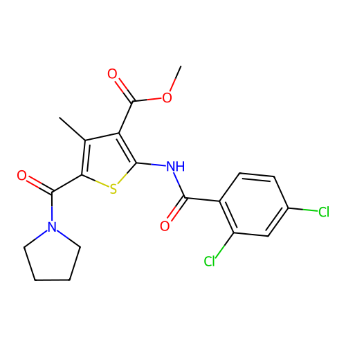 Methyl 2-[(2,4-dichlorobenzoyl)amino]-4-methyl-5-(pyrrolidine-1-carbonyl)thiophene-3-carboxylate structure