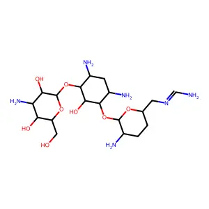 6'-N-Formimidoyldibekacin structure