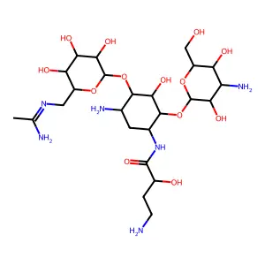6'-N-Acetimidoylamikacin structure