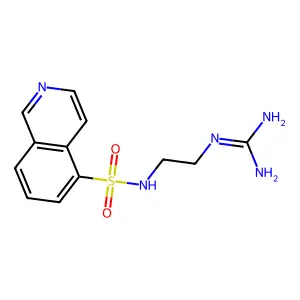 N-[2-(脒基氨基)乙基]-5-异喹啉磺酰胺 structure