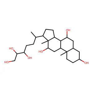 27-Norcholestane-3,7,12,24,25,26-hexol, (3alpha,5beta,7alpha,12alpha)- structure
