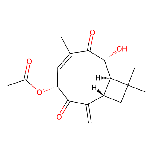 Naematolon structure