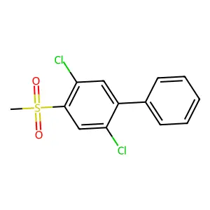 1,4-Dichloro-2-methylsulfonyl-5-phenylbenzene structure