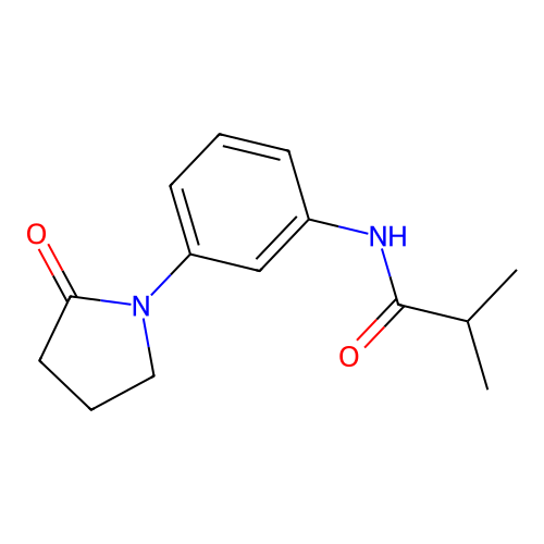 2-methyl-N-[3-(2-oxopyrrolidin-1-yl)phenyl]propanamide structure