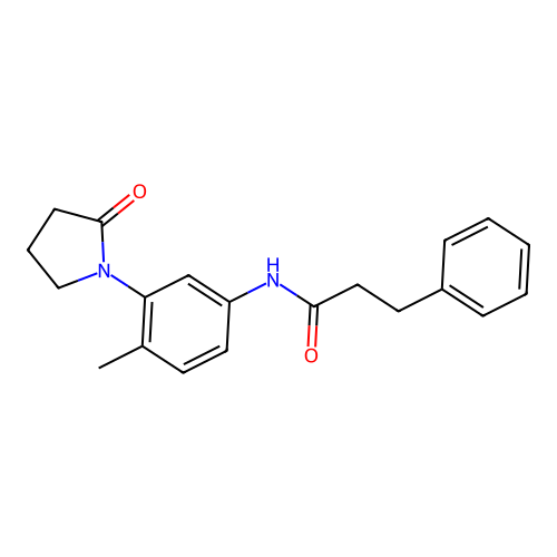 N-[4-methyl-3-(2-oxopyrrolidin-1-yl)phenyl]-3-phenylpropanamide structure