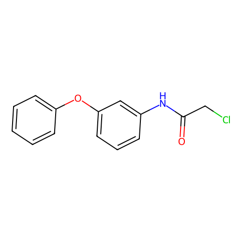 2-chloro-N-(3-phenoxyphenyl)acetamide structure