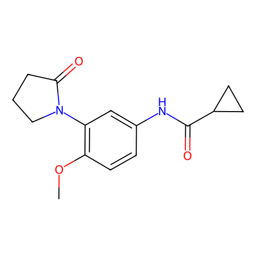 N-[4-methoxy-3-(2-oxopyrrolidin-1-yl)phenyl]cyclopropanecarboxamide structure