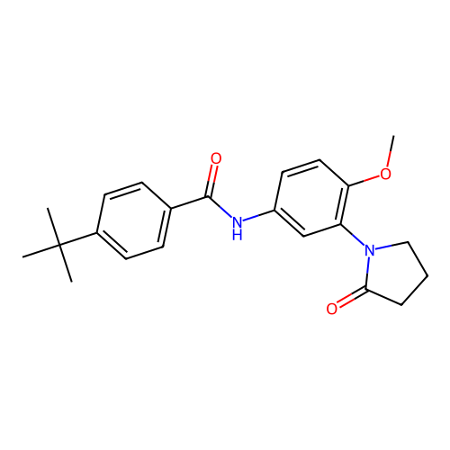4-tert-butyl-N-[4-methoxy-3-(2-oxopyrrolidin-1-yl)phenyl]benzamide structure