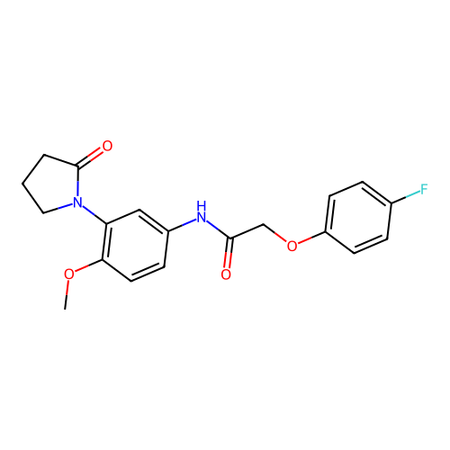 2-(4-fluorophenoxy)-N-[4-methoxy-3-(2-oxopyrrolidin-1-yl)phenyl]acetamide structure