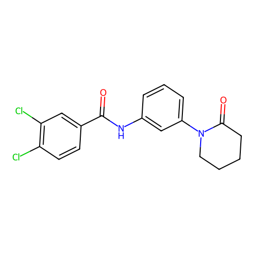 3,4-dichloro-N-[3-(2-oxopiperidin-1-yl)phenyl]benzamide structure