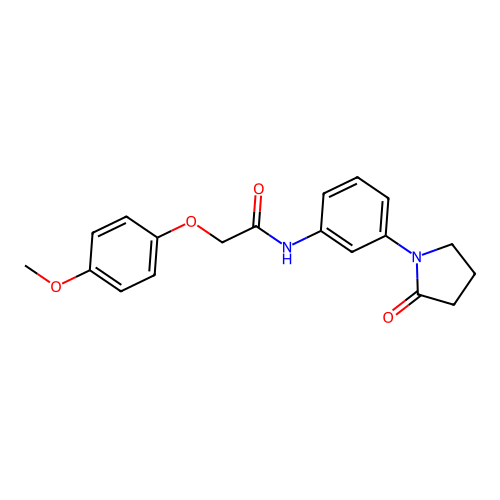 2-(4-methoxyphenoxy)-N-[3-(2-oxopyrrolidin-1-yl)phenyl]acetamide structure