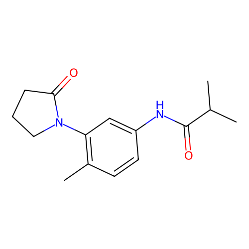 2-methyl-N-[4-methyl-3-(2-oxopyrrolidin-1-yl)phenyl]propanamide structure
