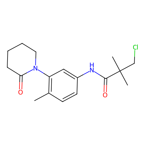 3-chloro-2,2-dimethyl-N-[4-methyl-3-(2-oxopiperidin-1-yl)phenyl]propanamide structure