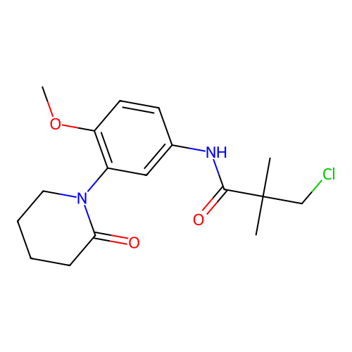 3-chloro-N-[4-methoxy-3-(2-oxopiperidin-1-yl)phenyl]-2,2-dimethylpropanamide structure