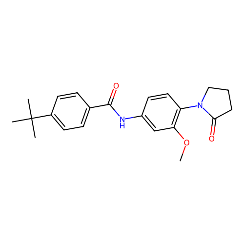 4-tert-butyl-N-[3-methoxy-4-(2-oxopyrrolidin-1-yl)phenyl]benzamide structure