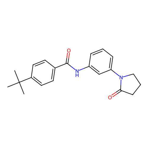 4-tert-butyl-N-[3-(2-oxopyrrolidin-1-yl)phenyl]benzamide structure