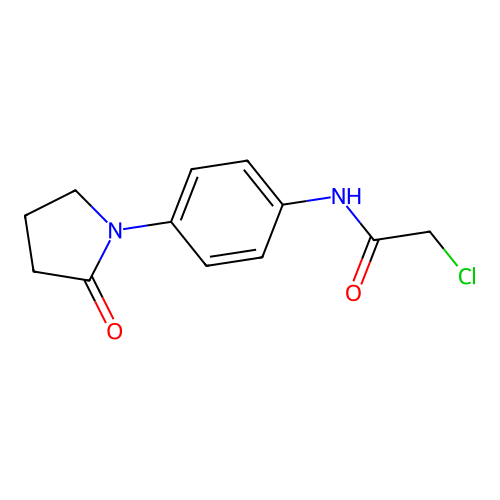 2-chloro-N-[4-(2-oxopyrrolidin-1-yl)phenyl]acetamide structure