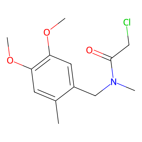 2-chloro-N-[(4,5-dimethoxy-2-methylphenyl)methyl]-N-methylacetamide structure