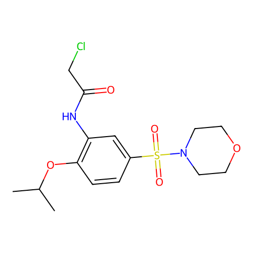 2-chloro-N-[5-(morpholine-4-sulfonyl)-2-(propan-2-yloxy)phenyl]acetamide structure
