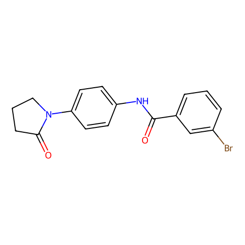 3-bromo-N-[4-(2-oxopyrrolidin-1-yl)phenyl]benzamide structure