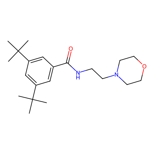 3,5-di-tert-butyl-N-[2-(morpholin-4-yl)ethyl]benzamide structure