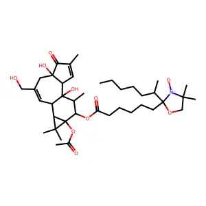 3-Oxazolidinyloxy, 2-(6-((9a-(acetyloxy)-1a,1b,4,4a,5,7a,7b,8,9,9a-decahydro-4a,7b-dihydroxy-3-(hydroxymethyl)-1,1,6,8-tetramethyl-5-oxo-1H-cyclopropa(3,4)benz(1,2-e)azulen-9-yl)oxy)-6-oxohexyl)-2-heptyl-4,4-dimethyl- structure
