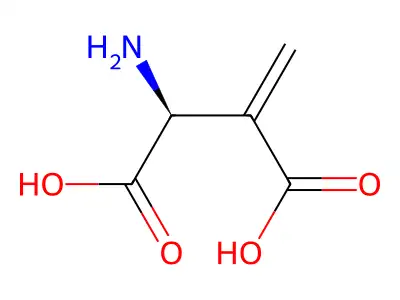 beta-Methyleneaspartate structure